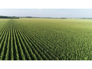 Union County, Indiana Farmland - REAL ESTATE AUCTION - 805+/- ACRES IN 11 TRACTS IN UNION COUNTY, INDIANA